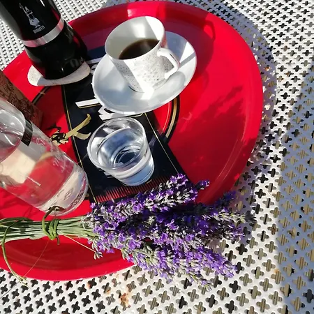 Route De Nieul Quarto em Acomodações Particulares