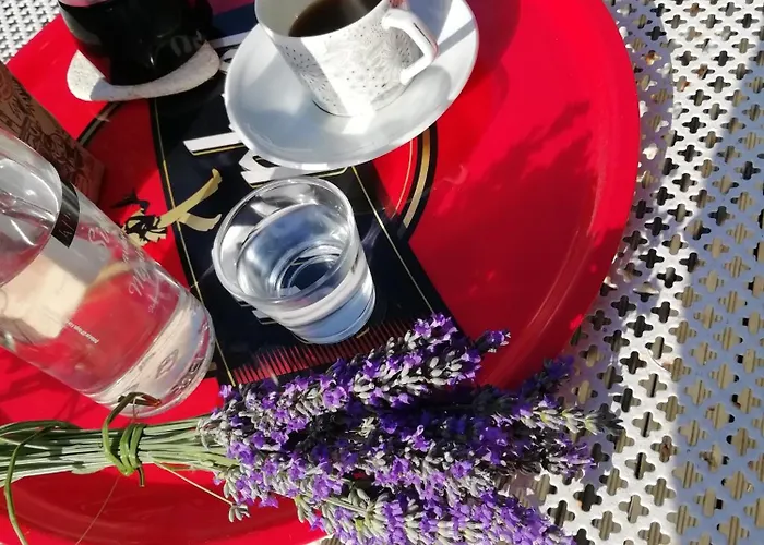 Route De Nieul Privatunterkunft